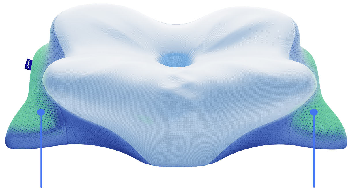 Derila Ergo ergonomic pillow review